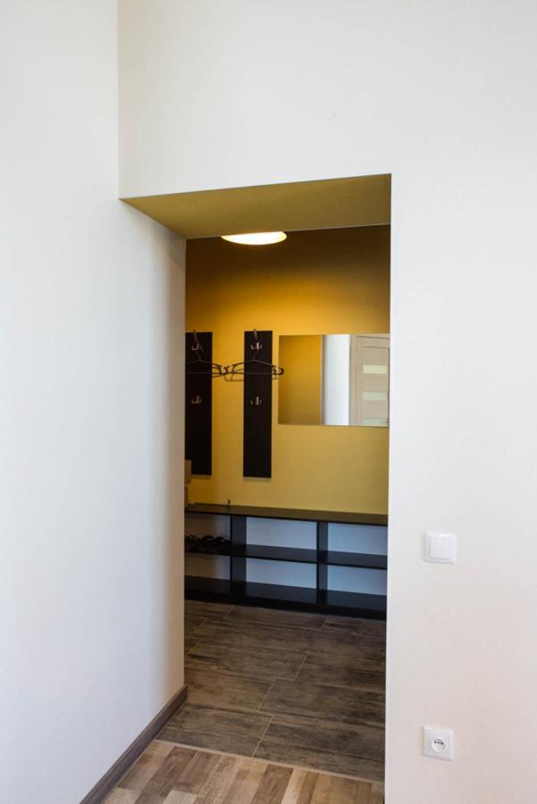 Lux In The Center - Darvina Street 17 Apartment Kharkiv